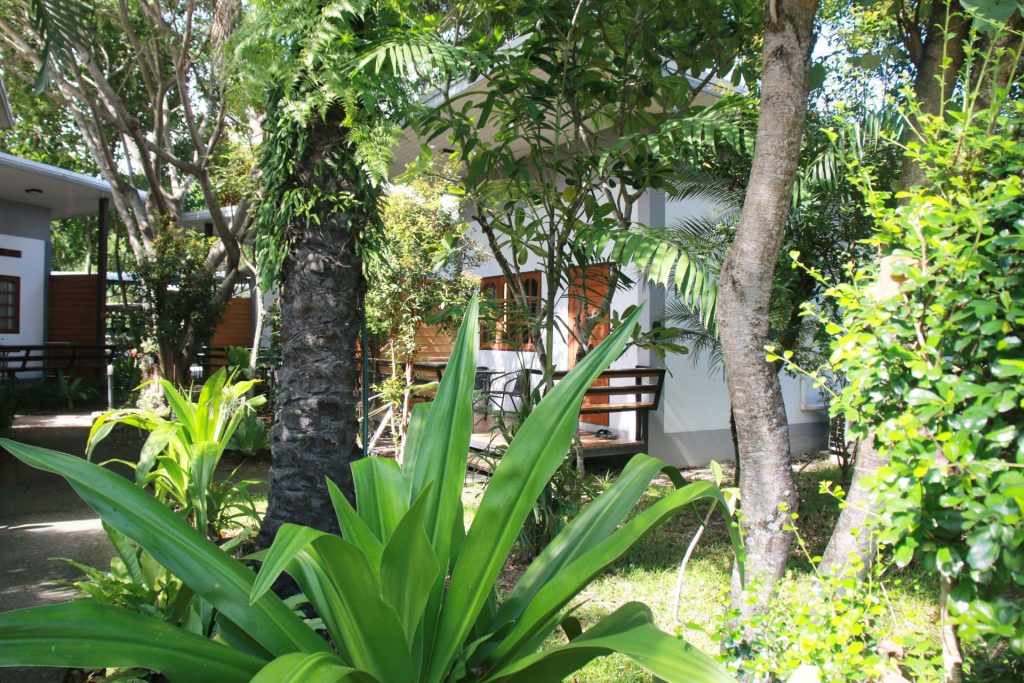 Guest cabins in the forest
