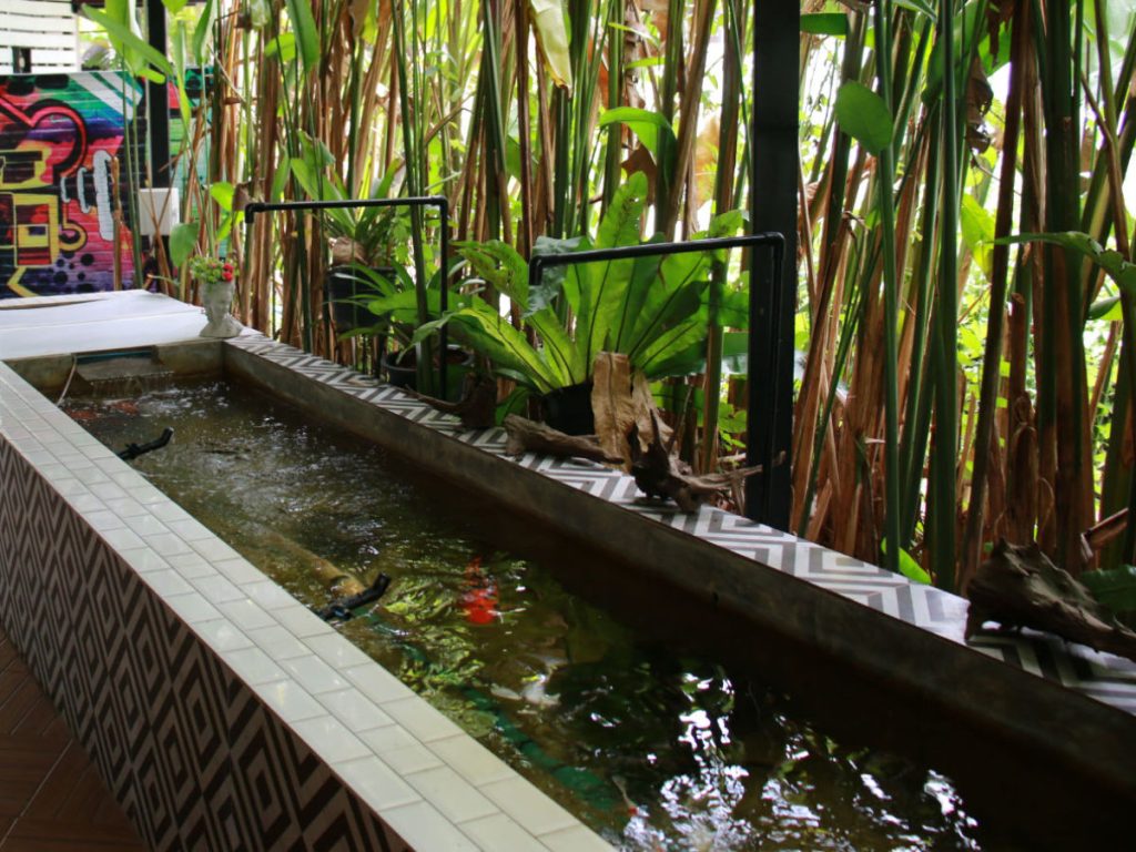 Café area overlooking the fish pond