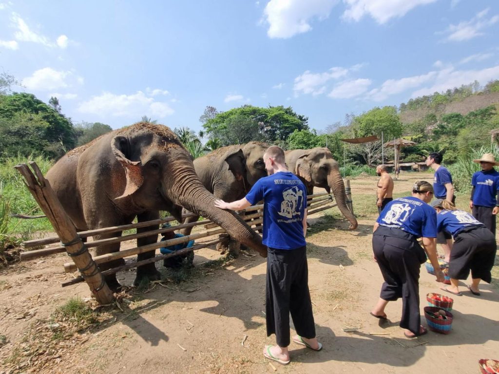Chiang Mai rehab residents get close up with Asian elephants