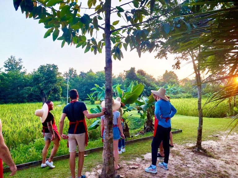 Learning how local rice and banana crops are grown in Thailand