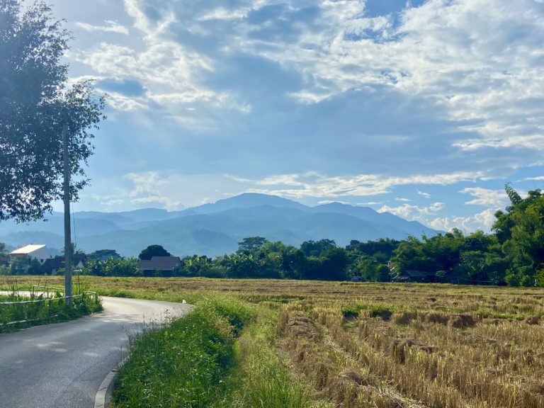 Local road from One Step has mountain views and lush greenery