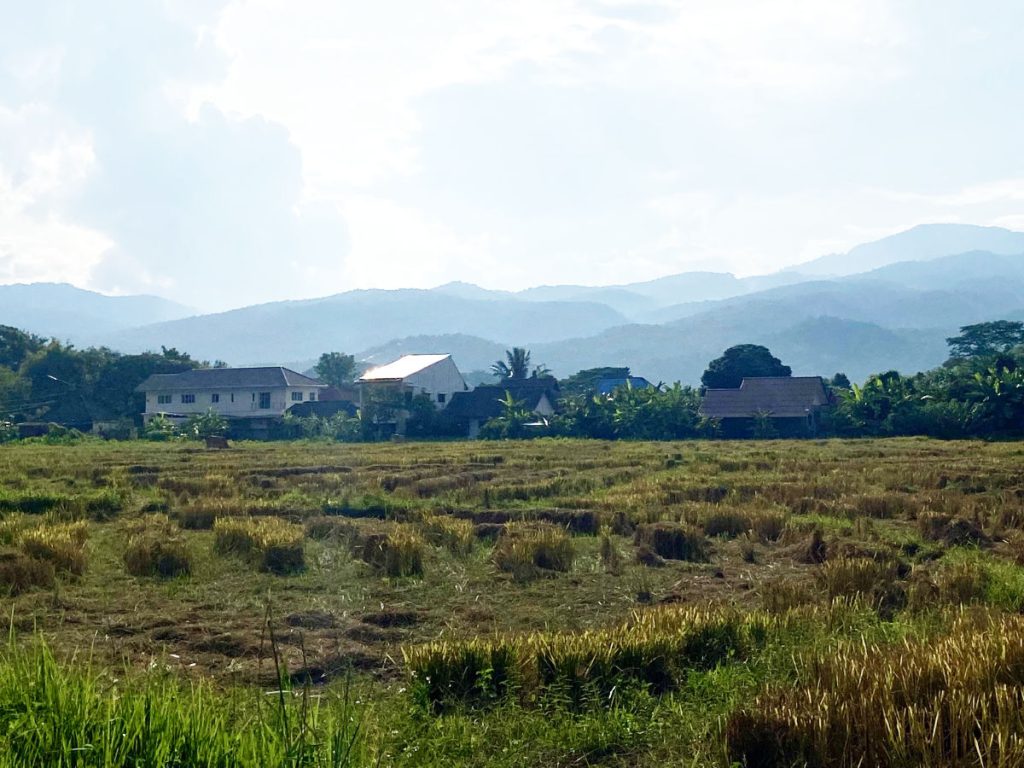 Mae Rim foothills near the One Step campus