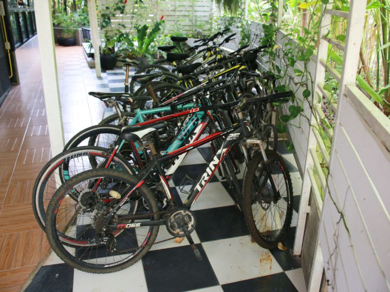 Row of mountain bikes for clients to cycle around local area