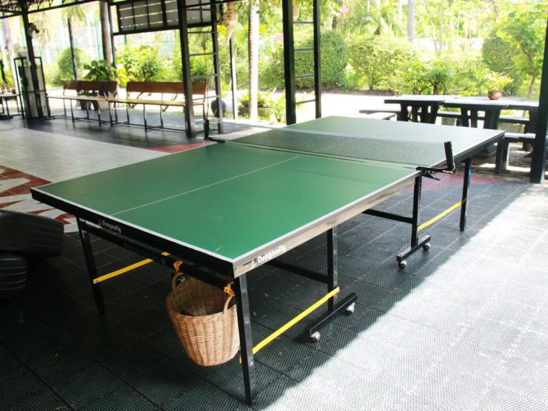Table tennis table with seating area for spectators