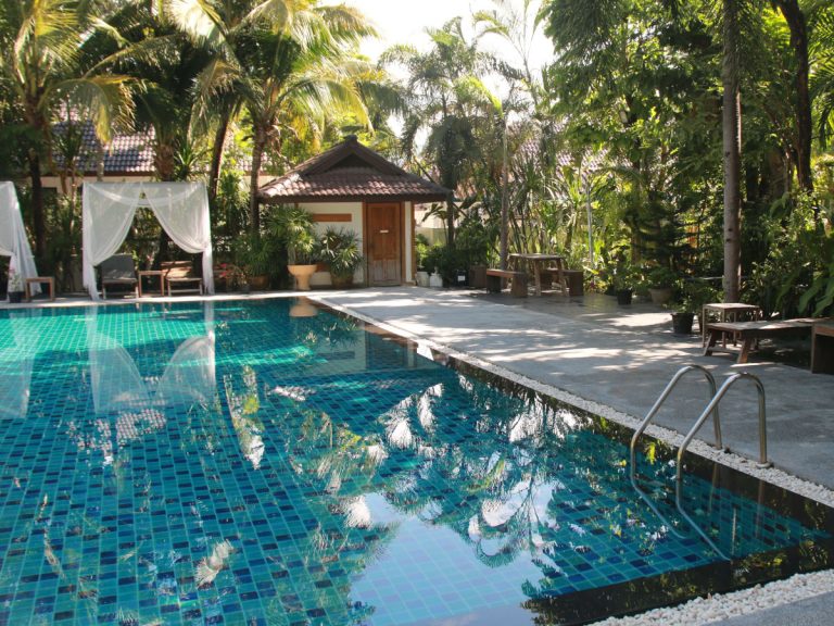 Tall trees surround swimming pool and walkway