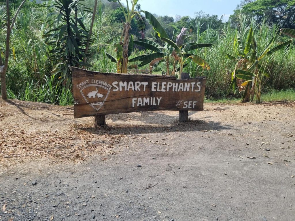 Hand carved sign shows entrance to Smart Elephants Family