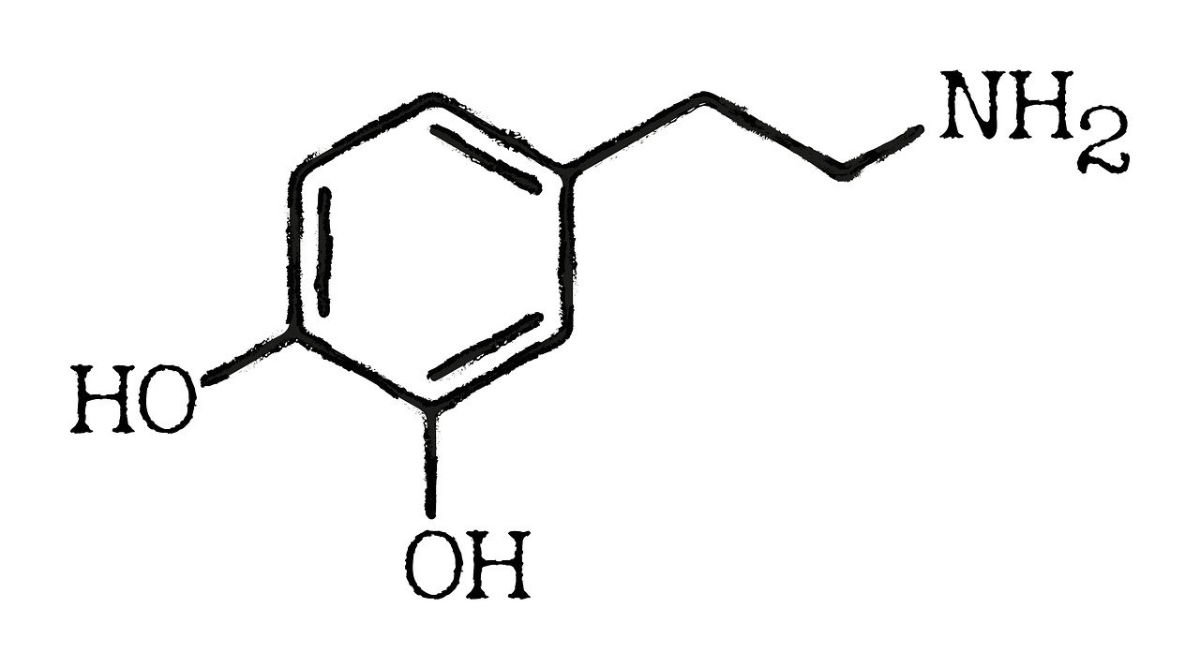 Dopamine neurotransmitter Dopamine graphic showing neurotransmitter