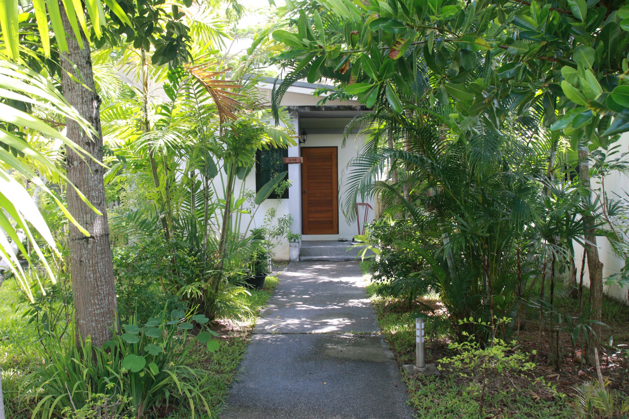 Path to sobriety through garden of drug rehab in Chiang Mai