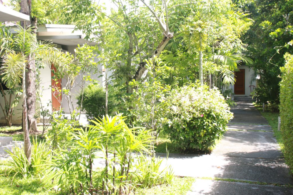 Accommodation at One Step rehab includes secluded cabins in tropical gardens