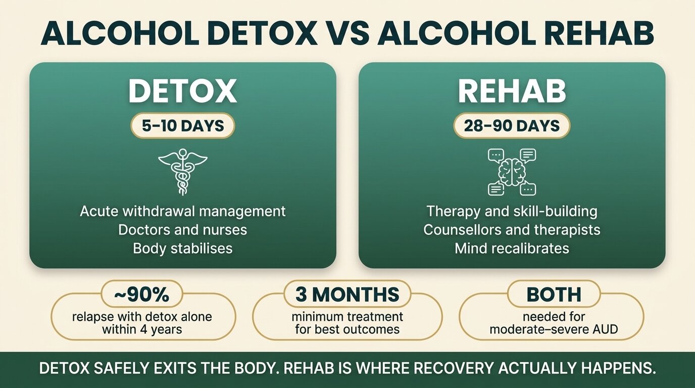 Infographic comparing alcohol detox and alcohol rehab — duration, focus, staff, and outcomes