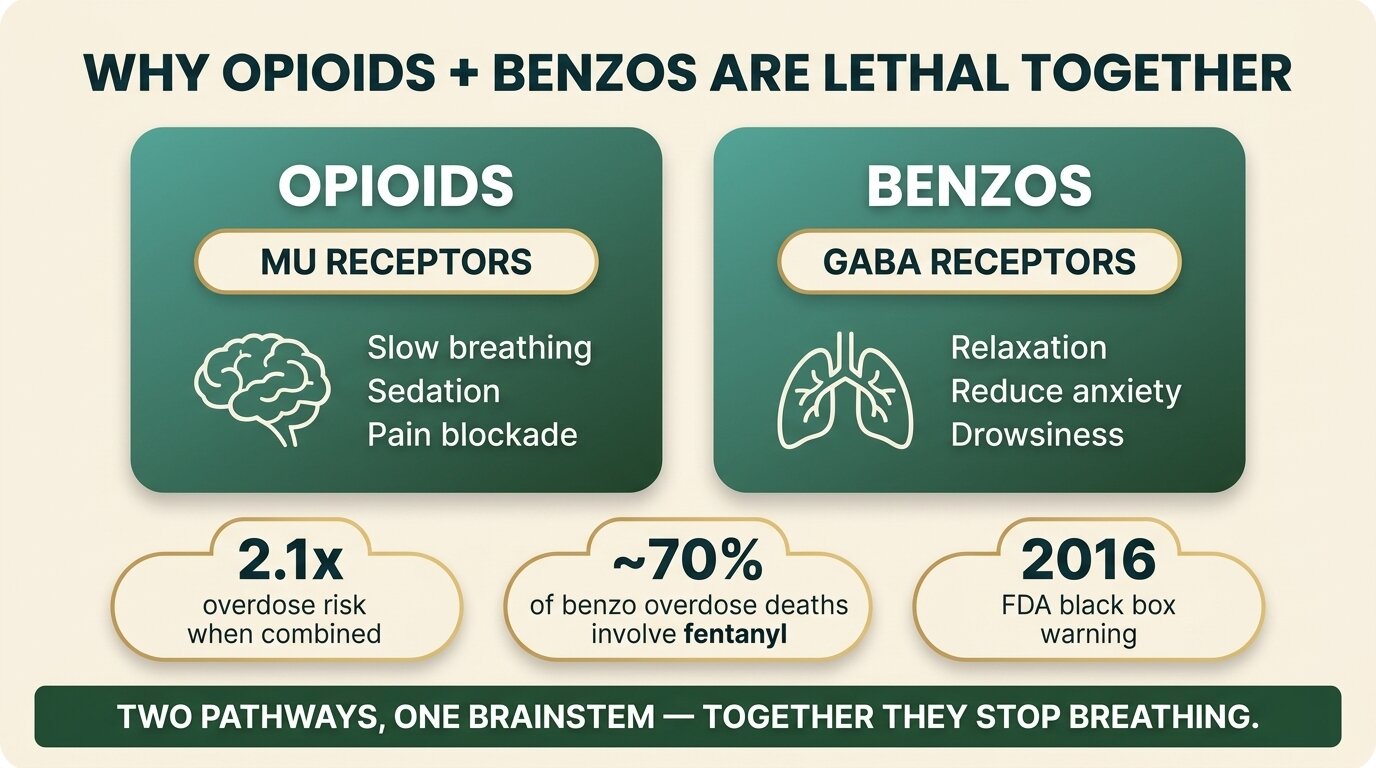 Infographic showing why opioids and benzodiazepines combined cause respiratory depression