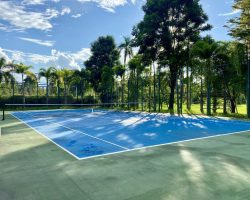 Blue tennis court with green surround and tall trees giving shade